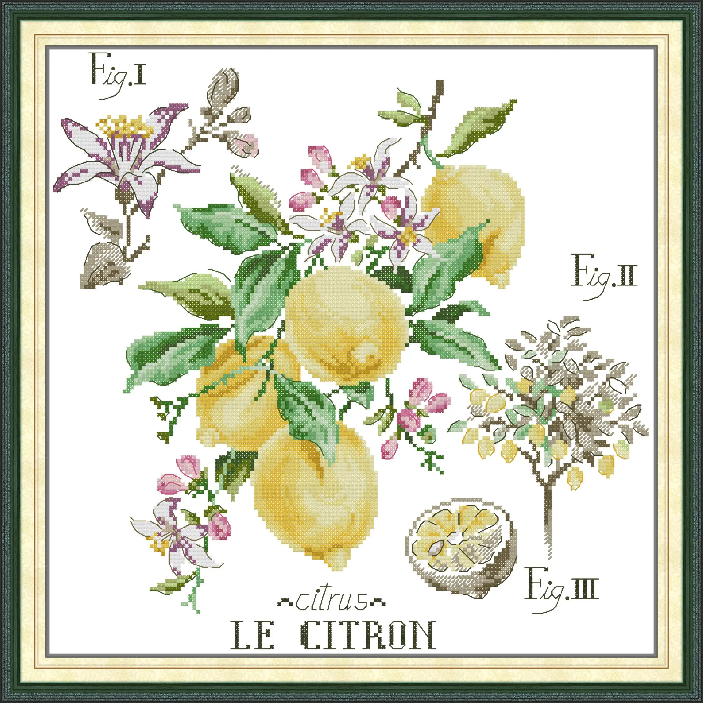 Maydear Full Cross Stitch Kit,11CT/14CT/16CT/9CT Aida Fabric,DMC Threads Sewing Pattern Embroidery Set-Legend - Lemon
Maydear Full Cross Stitch Kit,11CT/14CT/16CT/9CT Aida Fabric,DMC Threads Sewing Pattern Embroidery Set-Legend - Lemon