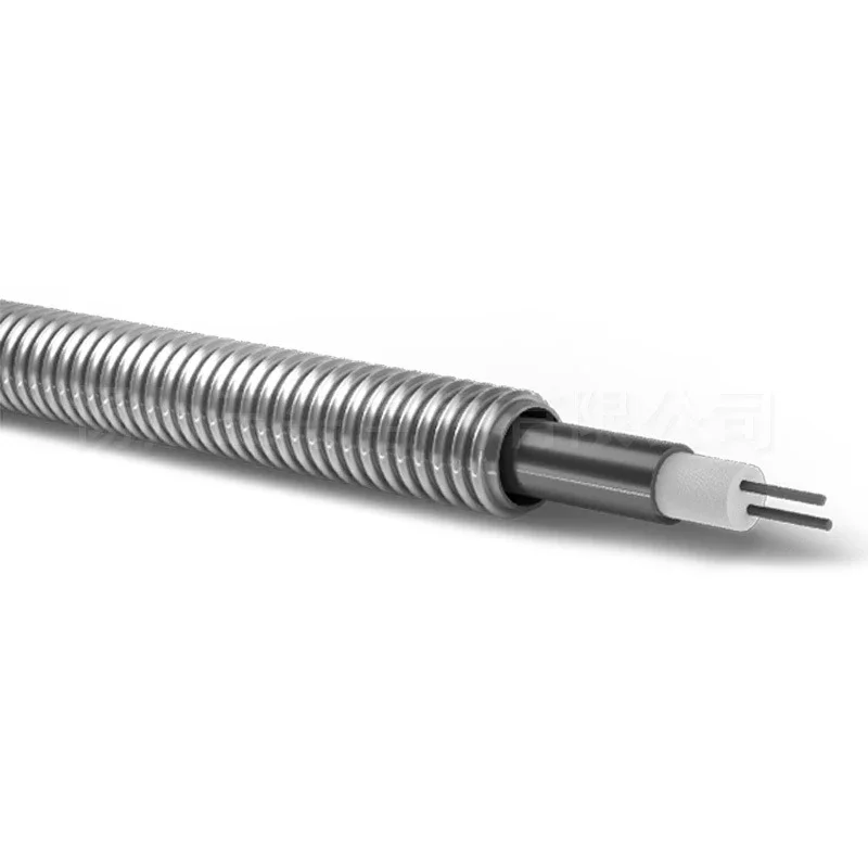 Heating belt Stainless steel heating cable 825 alloy mineral insulated cable 220V high temperature electric belt
Heating belt Stainless steel heating cable 825 alloy mineral insulated cable 220V high temperature electric belt