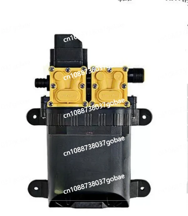 12V dual core power diaphragm water pump agricultural electric sprayer high pressure car wash and medicine water pump
12V dual core power diaphragm water pump agricultural electric sprayer high pressure car wash and medicine water pump