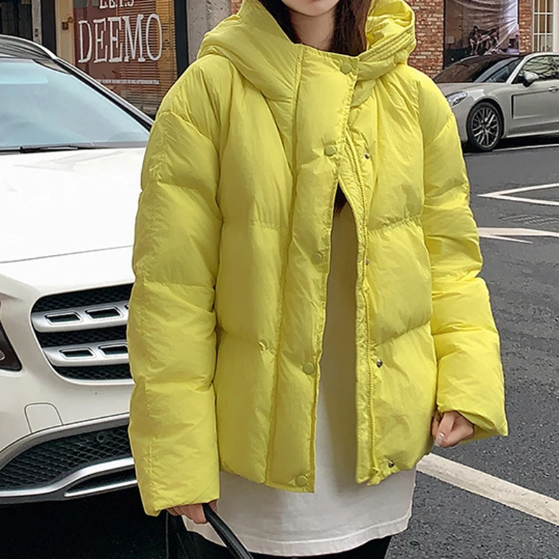 Women's Cotton-Padded Coat 2023 Winter New Gray Hooded Short Down Jacket Student Fashion Bread Coat
Women's Cotton-Padded Coat 2023 Winter New Gray Hooded Short Down Jacket Student Fashion Bread Coat