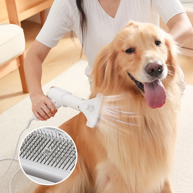 Pet hair dryer 2-in-1 beauty pet brush Adjustable temperature dog hair dryer pet hair remover dog brush dog cat brush
Pet hair dryer 2-in-1 beauty pet brush Adjustable temperature dog hair dryer pet hair remover dog brush dog cat brush