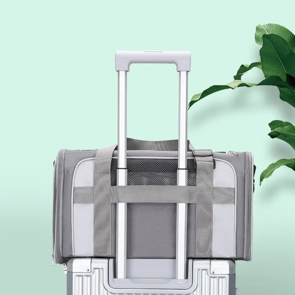 Dogs Outdoor Carrier Large Capacity Pet Carrying Bag Foldable Breathable Pet Carrier Bag Side Ventilated Pet Travel Bag Outgoing
Dogs Outdoor Carrier Large Capacity Pet Carrying Bag Foldable Breathable Pet Carrier Bag Side Ventilated Pet Travel Bag Outgoing