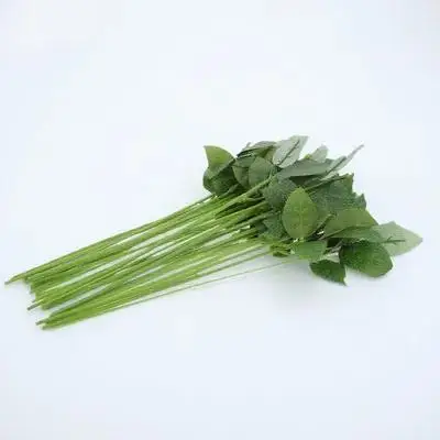 30pcs Simulation Rose Stem Artificial Floral Stem For Diy Wedding Bouquets Floral Arrangements Flower Packaging Material
30pcs Simulation Rose Stem Artificial Floral Stem For Diy Wedding Bouquets Floral Arrangements Flower Packaging Material