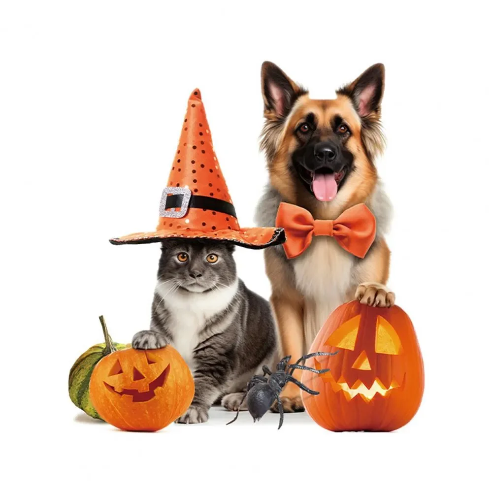 2025 Toilet Sticker Spooky Halloween Pet Toilet Sticker Pumpkin Spider Witch Hat Waterproof Pvc Bathroom Wall Art
2025 Toilet Sticker Spooky Halloween Pet Toilet Sticker Pumpkin Spider Witch Hat Waterproof Pvc Bathroom Wall Art