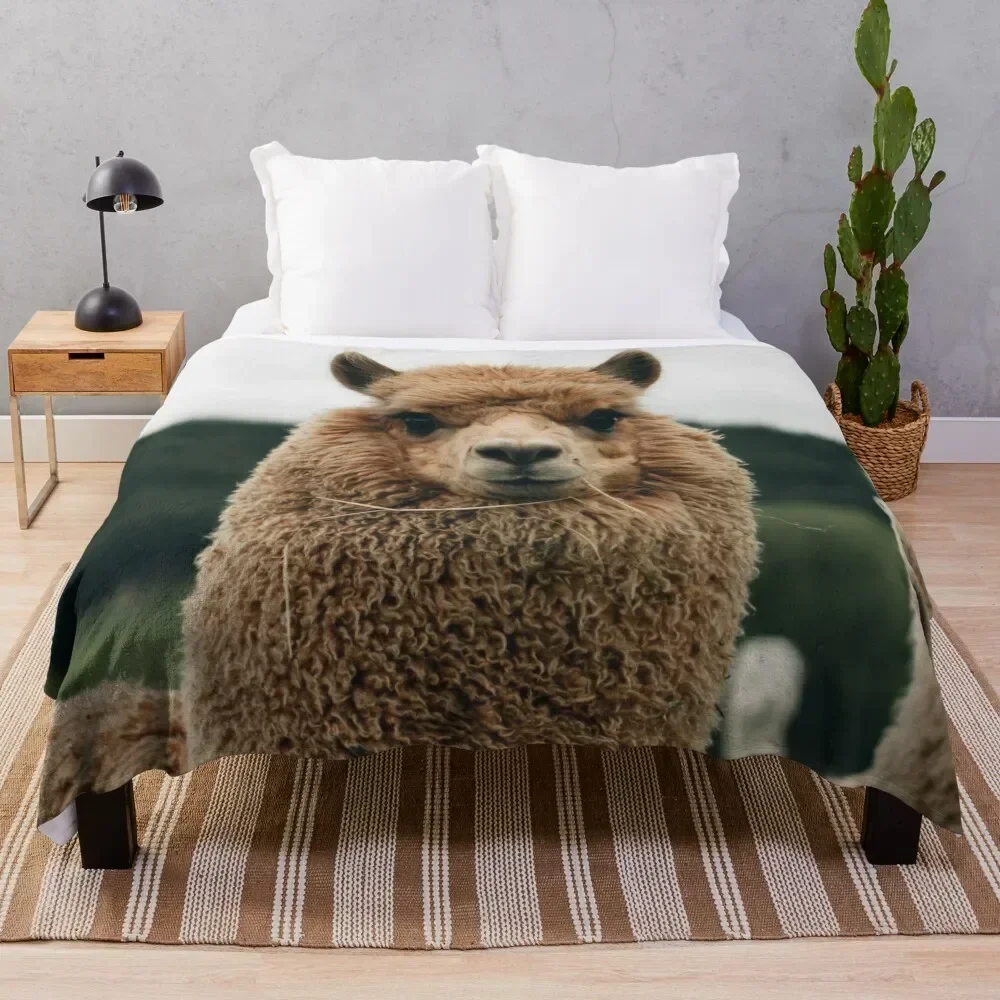 Llama Throw Blanket Stylish Warm Blanket for Living Room Bedroom
Llama Throw Blanket Stylish Warm Blanket for Living Room Bedroom