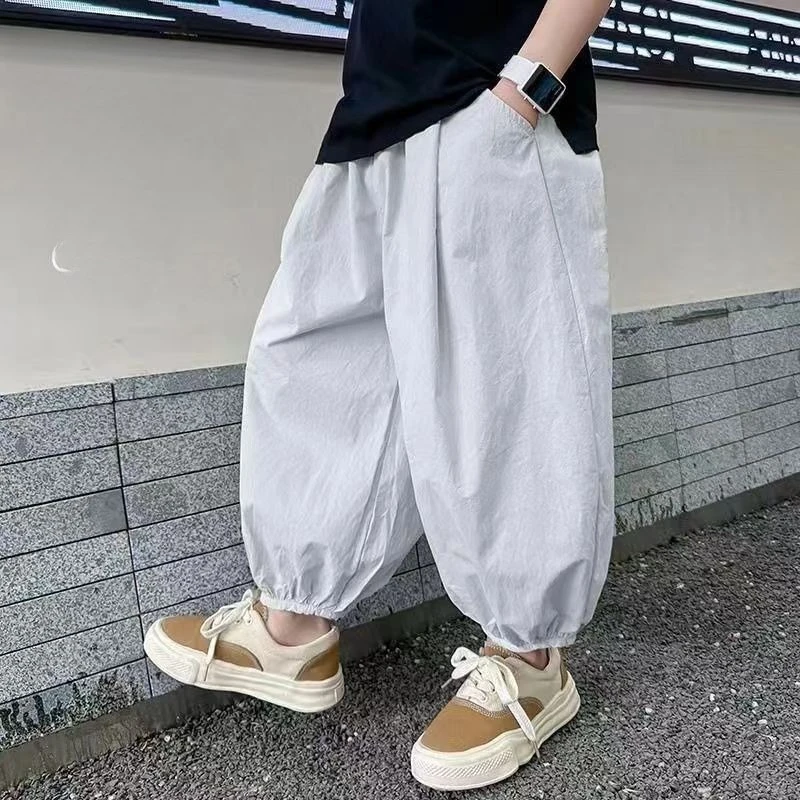 Summer Boys Thin Pants Korean Style Mosquito Repellent Harem Trousers Elastic Cuff Casual Loose Fit Long Pants
Summer Boys Thin Pants Korean Style Mosquito Repellent Harem Trousers Elastic Cuff Casual Loose Fit Long Pants