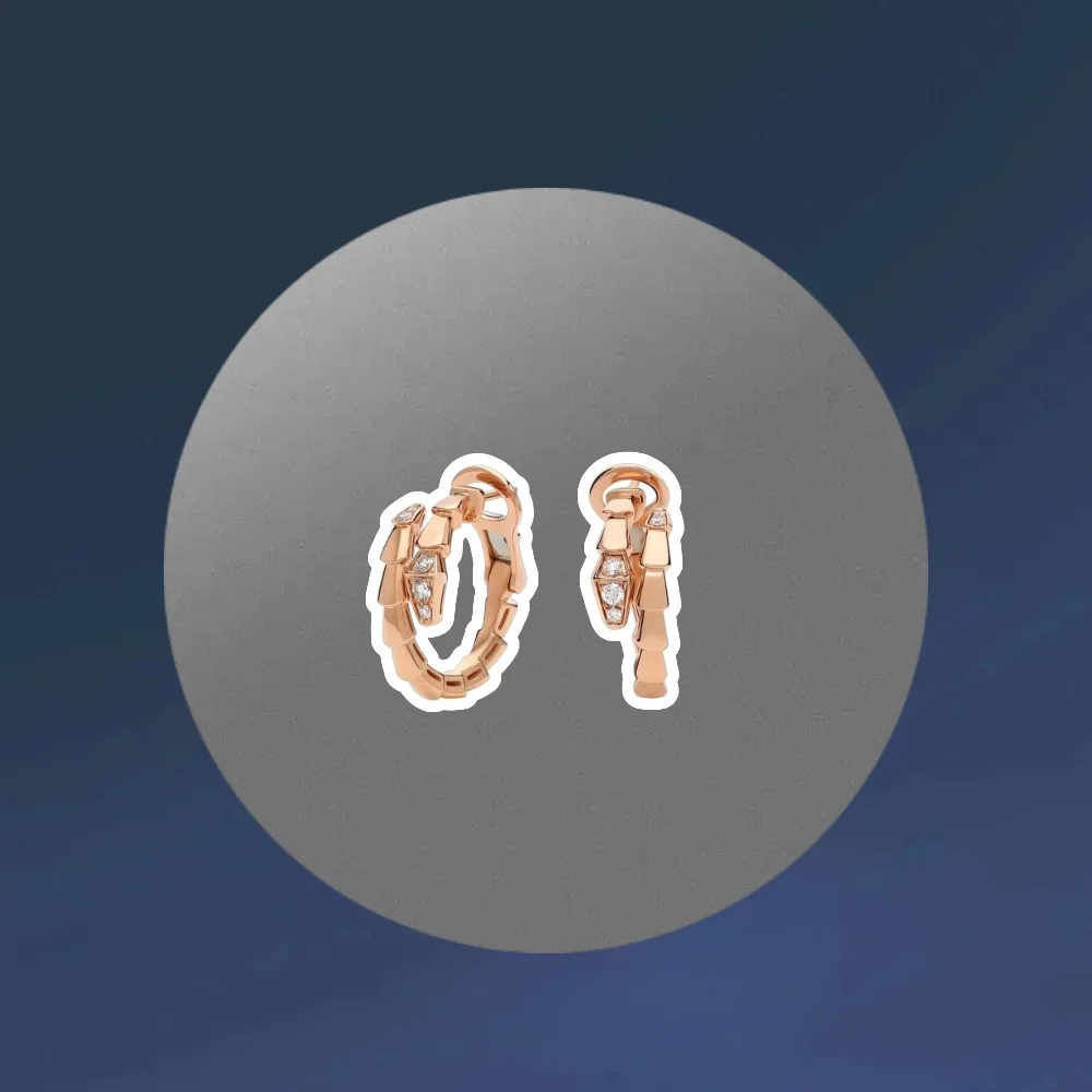 Серьги в форме змеи из стерлингового серебра 925 пробы с индивидуальным креативным дизайном, роскошные ювелирные изделия, высококачественные подарки для вечеринок 
Серьги в форме змеи из стерлингового серебра 925 пробы с индивидуальным креативным дизайном, роскошные ювелирные изделия, высококачественные подарки для вечеринок