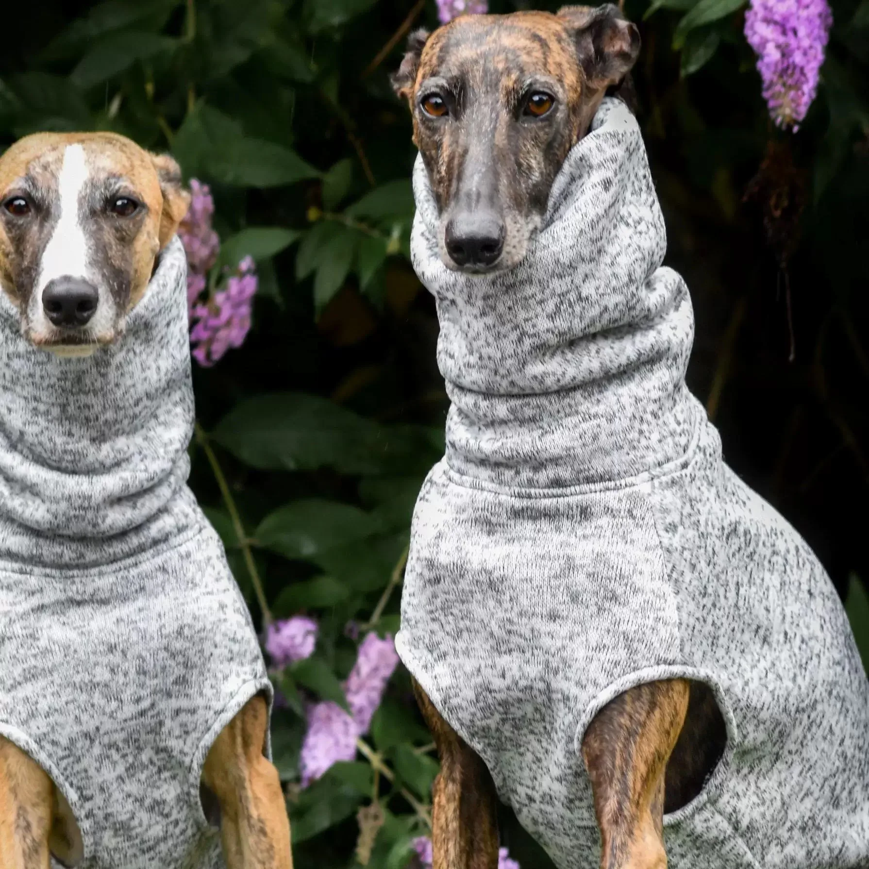 Fashion White Fleece Sleeveless Sweatershirt for Whipbit Spring Warm Jumpsuit for Italian Greyhound Mid Dogs Thick Autumn Vest
Fashion White Fleece Sleeveless Sweatershirt for Whipbit Spring Warm Jumpsuit for Italian Greyhound Mid Dogs Thick Autumn Vest
