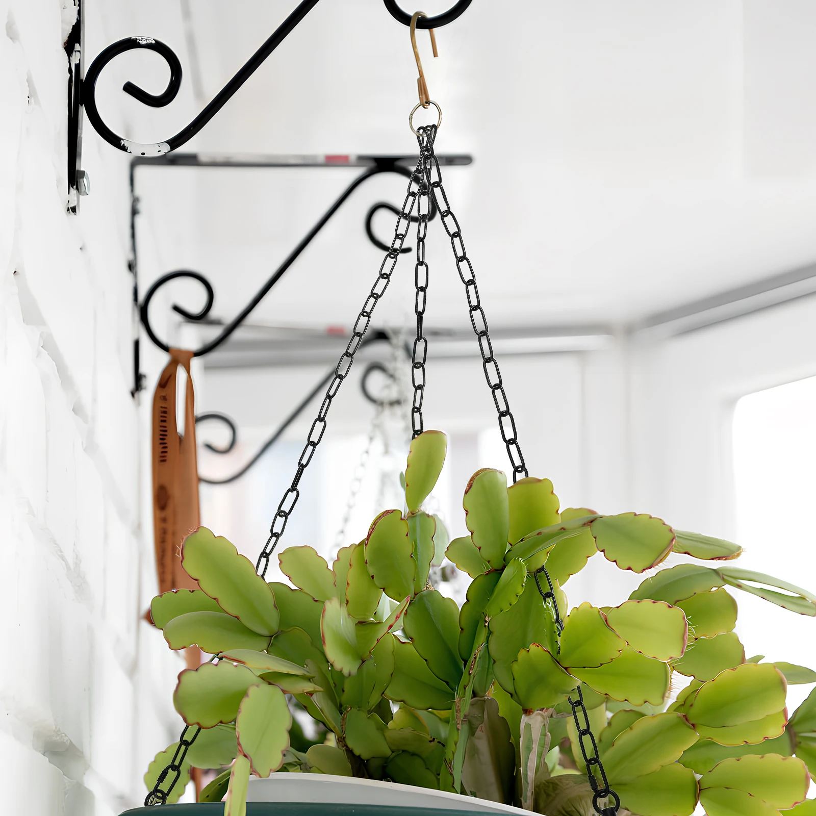 1 Set Heavy Duty Iron Hanging Chain Carabiner Strong Metal Chain For Planters Bird Feeders Outdoor Decor Chains Hangers Pots 
1 Set Heavy Duty Iron Hanging Chain Carabiner Strong Metal Chain For Planters Bird Feeders Outdoor Decor Chains Hangers Pots