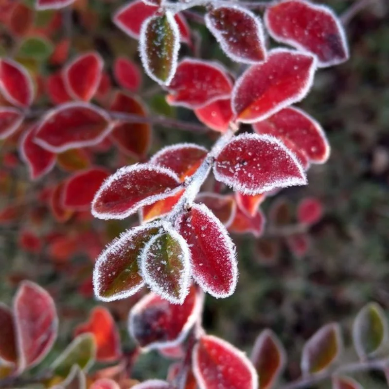 313mm Wheelbase Wrangler Body Shell for 1/10 RC Crawler Car Trxs TRX4 SCX10 90046 AX103007 RC4WD JE EP DIY Parts & Accs
313mm Wheelbase Wrangler Body Shell for 1/10 RC Crawler Car Trxs TRX4 SCX10 90046 AX103007 RC4WD JE EP DIY Parts & Accs