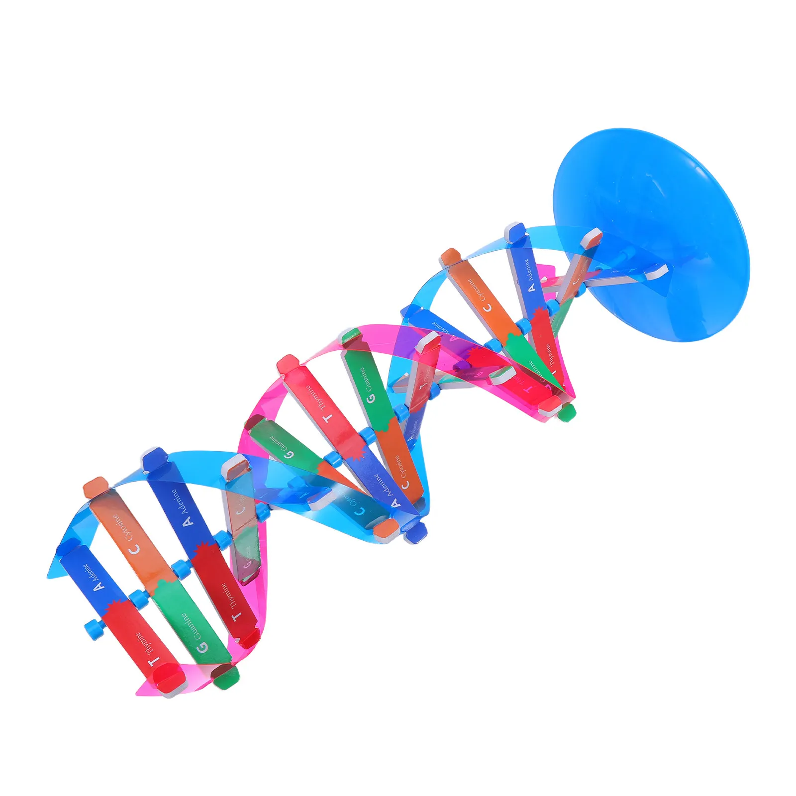 Образовательный набор для моделирования ДНК: детализированная структура двойной спирали для обучения студентов, проектов на научных выставках, домашнего обучения биологии и
Образовательный набор для моделирования ДНК: детализированная структура двойной спирали для обучения студентов, проектов на научных выставках, домашнего обучения биологии и