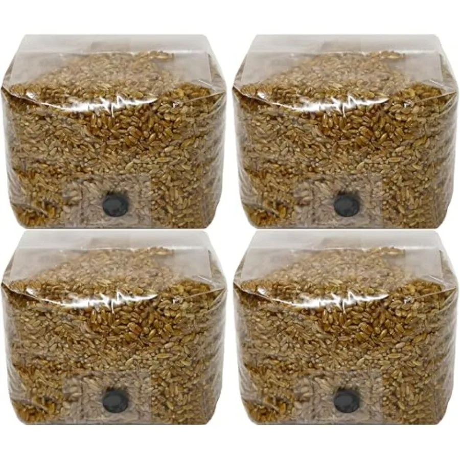 Rye Berry Mushroom Substrate Grow Bags for cultivation, rye berry substrate, natural color, self-healing injection port, 3lbs b
Rye Berry Mushroom Substrate Grow Bags for cultivation, rye berry substrate, natural color, self-healing injection port, 3lbs b