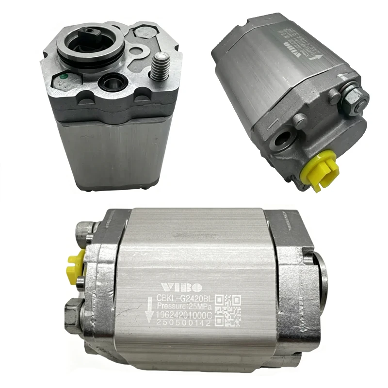 Hydraulic gear pump CBKL-G2200BL G2420BL 2075BL 2065BL G2130BL CBKL-G2160 power unit oil pump
Hydraulic gear pump CBKL-G2200BL G2420BL 2075BL 2065BL G2130BL CBKL-G2160 power unit oil pump