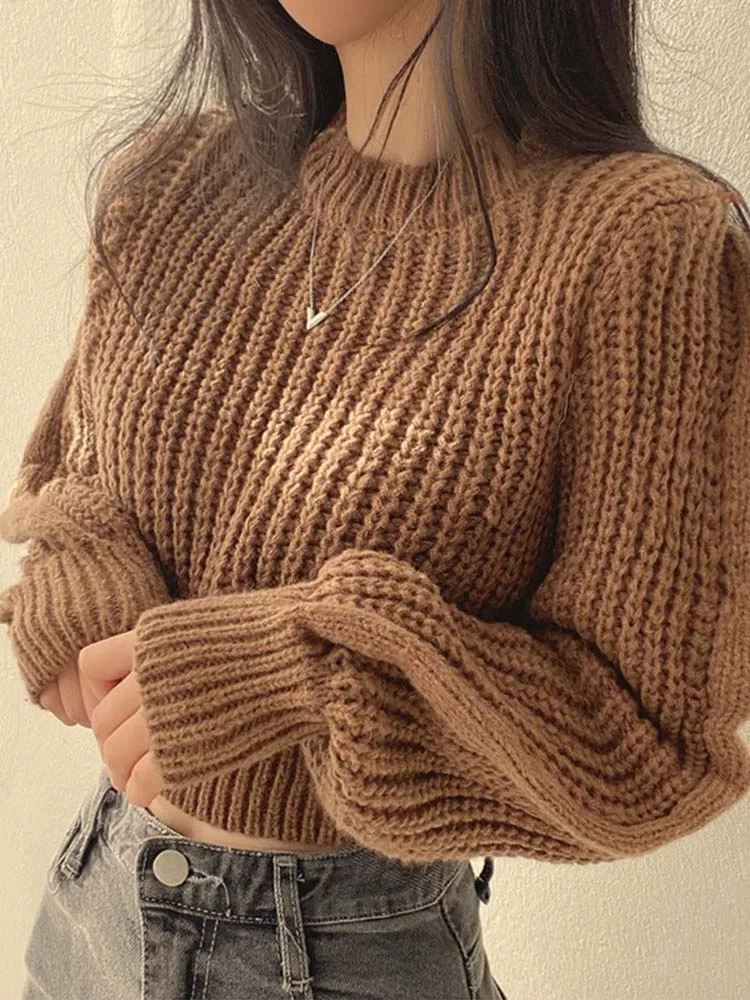 Vintage Harajuku Lantern Long Sleeve Women's Sweater Korean Autumn/Winter Knitted Soft Warm Top Unique Solid Color Women's Sweat
Vintage Harajuku Lantern Long Sleeve Women's Sweater Korean Autumn/Winter Knitted Soft Warm Top Unique Solid Color Women's Sweat