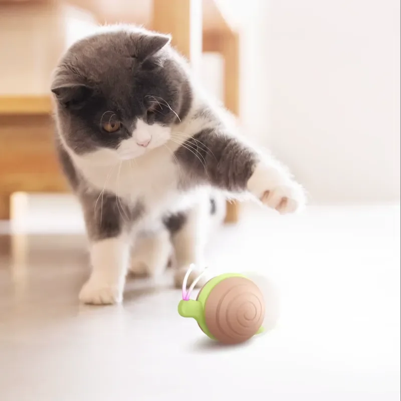 Cheerble Eco-Friendly PVC Cat Toys for Indoor Cats High Energy Features to Combat Boredom and Loneliness Sustainable Cat Toy
Cheerble Eco-Friendly PVC Cat Toys for Indoor Cats High Energy Features to Combat Boredom and Loneliness Sustainable Cat Toy