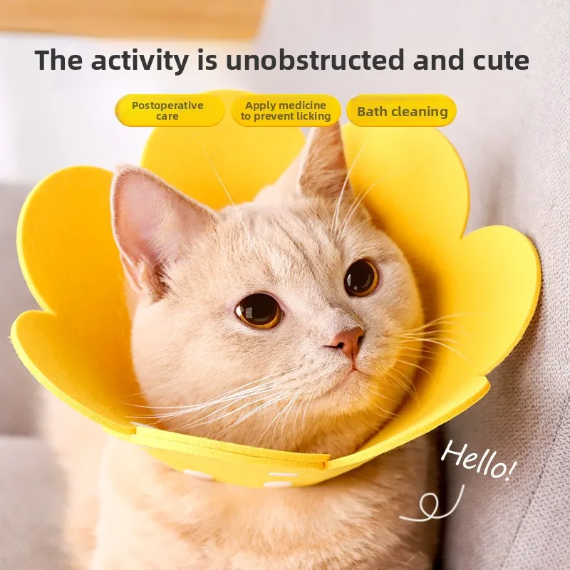Pet protective collars Cats and dogs recover after surgery Anti-licking Medical wound healing Health protective collars
Pet protective collars Cats and dogs recover after surgery Anti-licking Medical wound healing Health protective collars