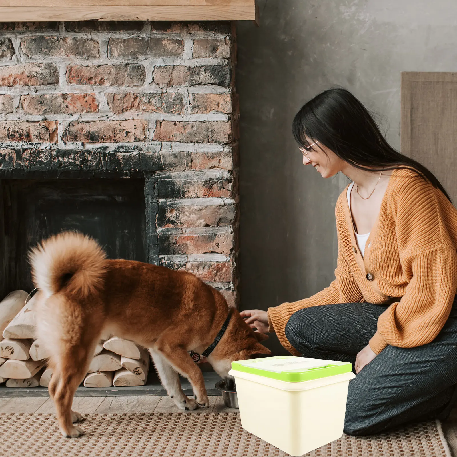 Large Capacity 10L Shallow Green Pet Food Barrel Airtight Dog Cat Food Storage Container Material Household Grain Box
Large Capacity 10L Shallow Green Pet Food Barrel Airtight Dog Cat Food Storage Container Material Household Grain Box