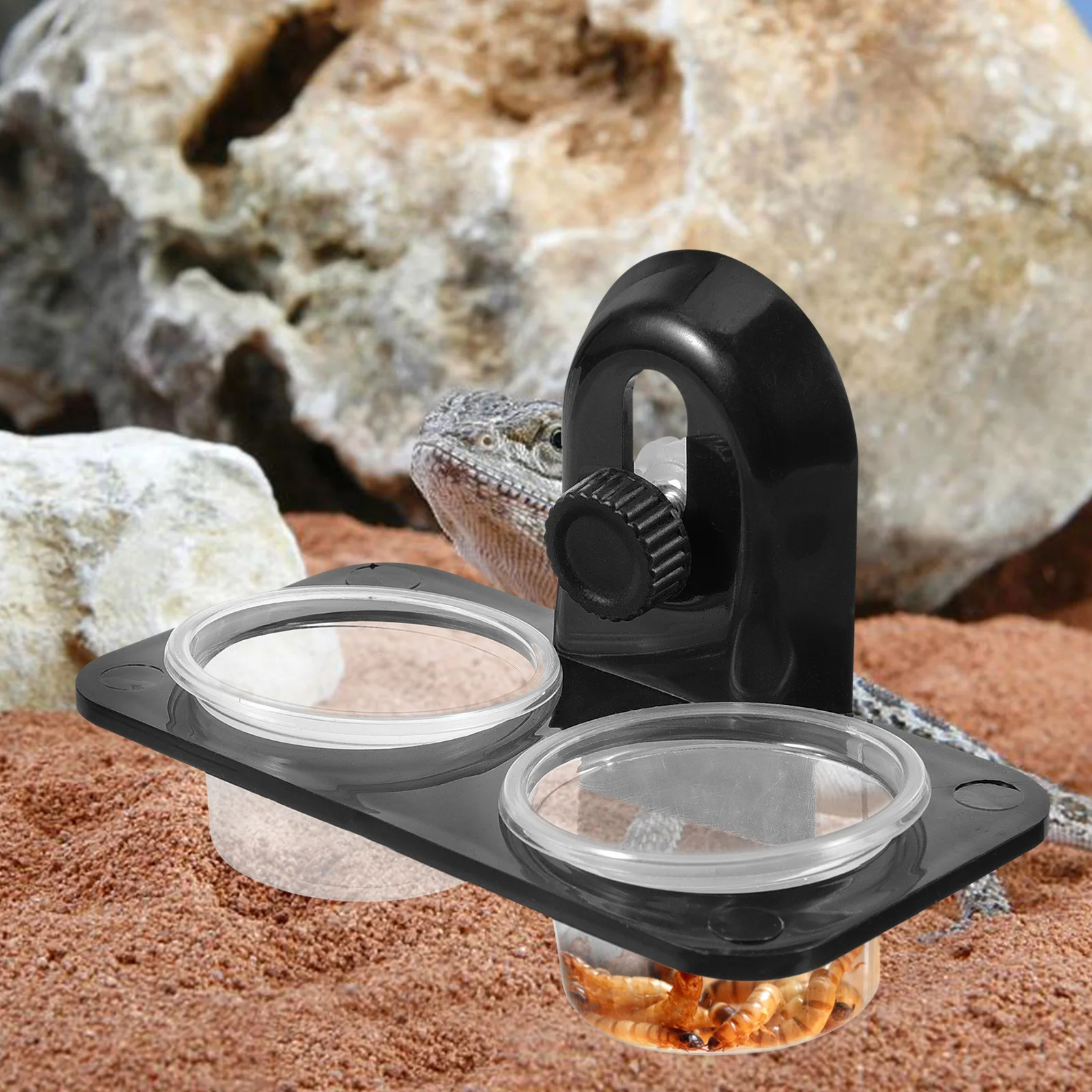 1 pc Double Grid Reptile Feeding Basin Anti Escape Water Food Bowl for Spider Lizard Insect Tortoise Pet Care Breeding Supplies
1 pc Double Grid Reptile Feeding Basin Anti Escape Water Food Bowl for Spider Lizard Insect Tortoise Pet Care Breeding Supplies