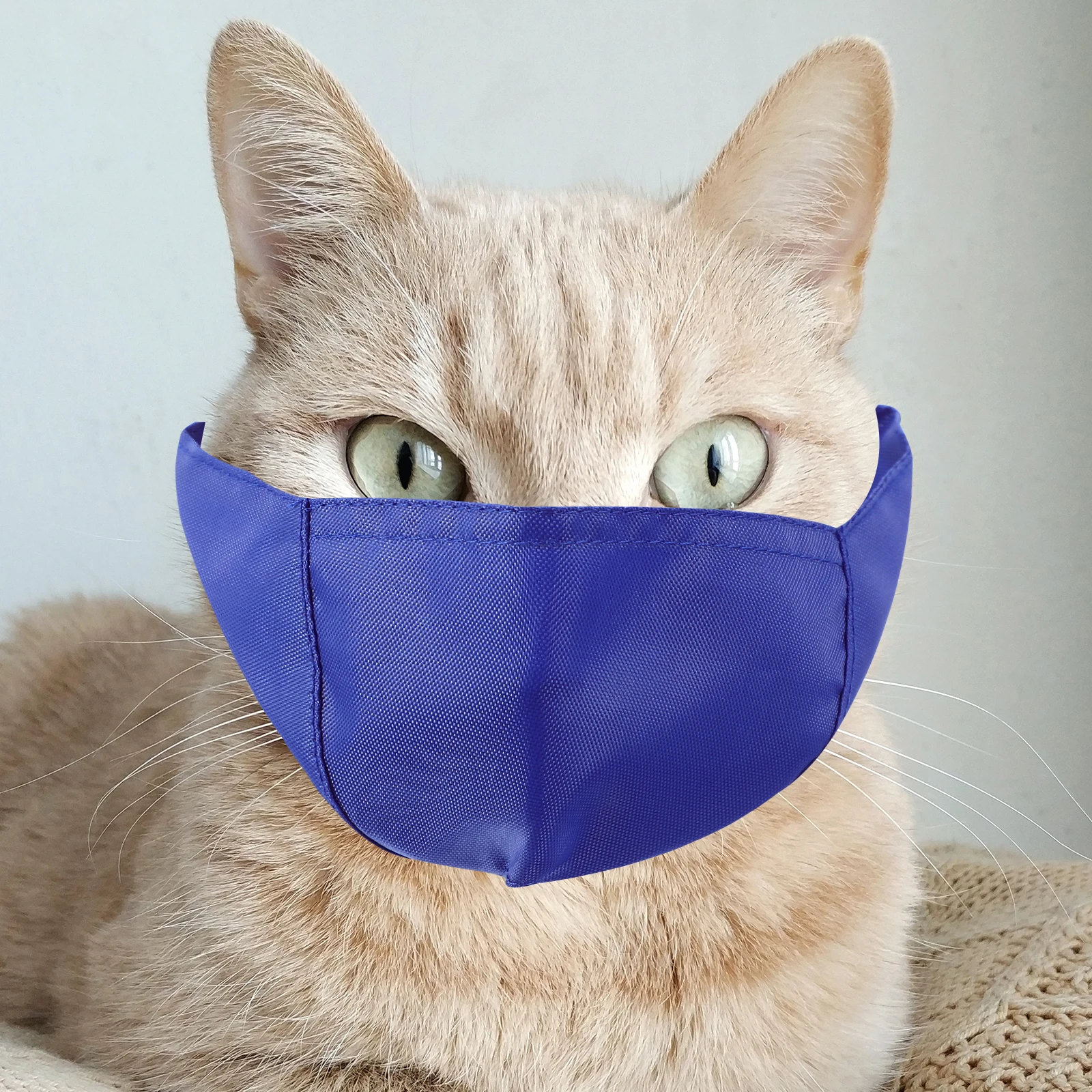 Breathable Cat Muzzle Nylon Mouth Cover for Anti licking Pet Kitten Grooming Bath Beauty Safe Durable Long Term Use
Breathable Cat Muzzle Nylon Mouth Cover for Anti licking Pet Kitten Grooming Bath Beauty Safe Durable Long Term Use