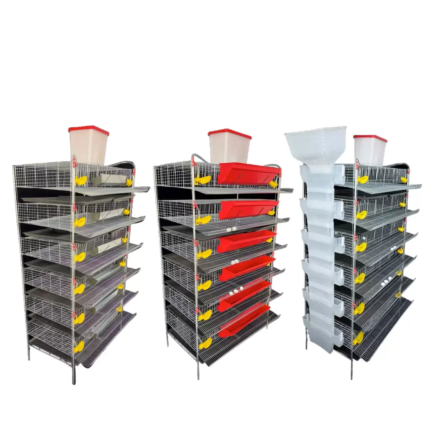 Vertical Quail Cage Automatic Manure Cleaning Feeding & Watering Design Bird Cage for Quail Egg Production
Vertical Quail Cage Automatic Manure Cleaning Feeding & Watering Design Bird Cage for Quail Egg Production