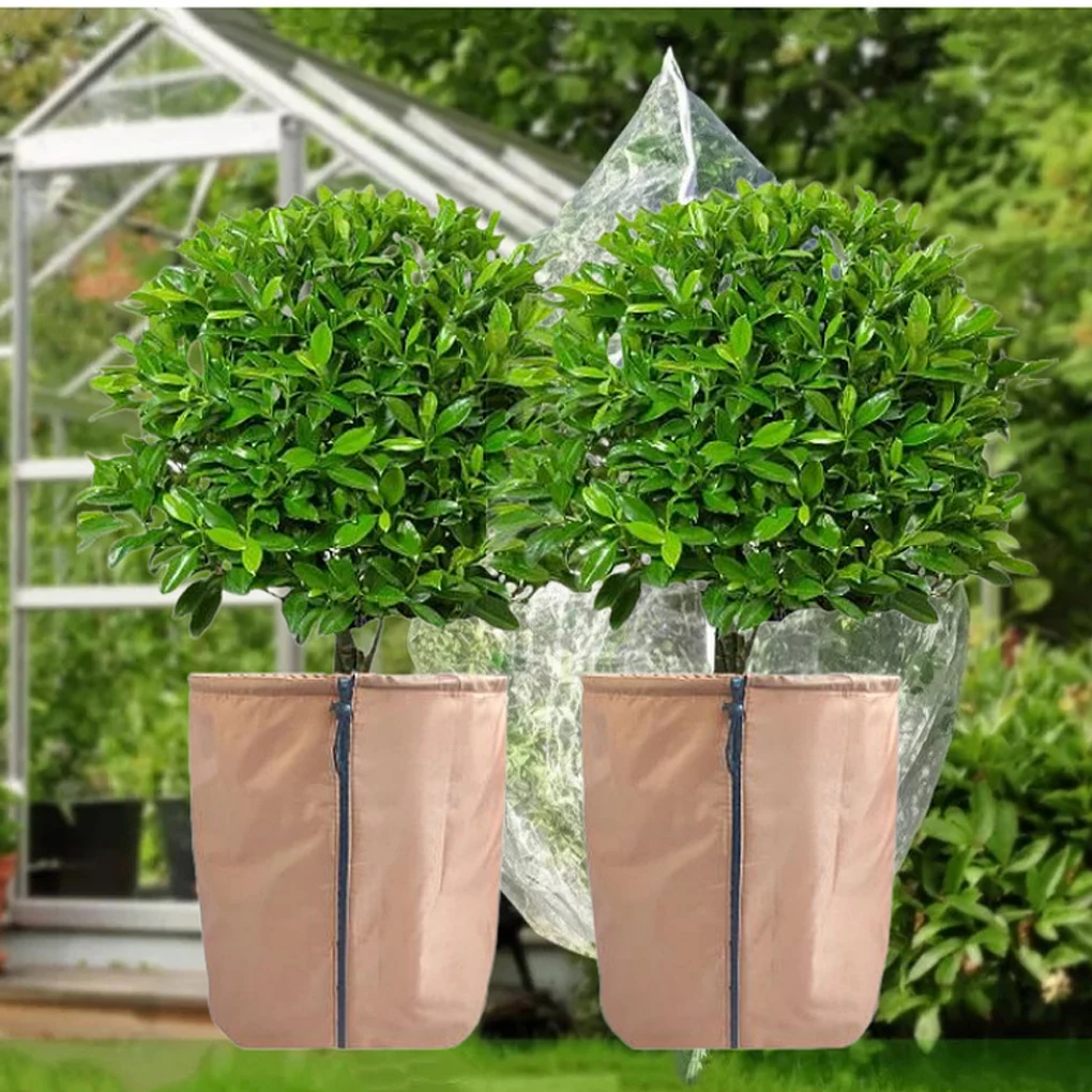 Шнурок для растений в горшке, легко долговечный, защита растений
Шнурок для растений в горшке, легко долговечный, защита растений