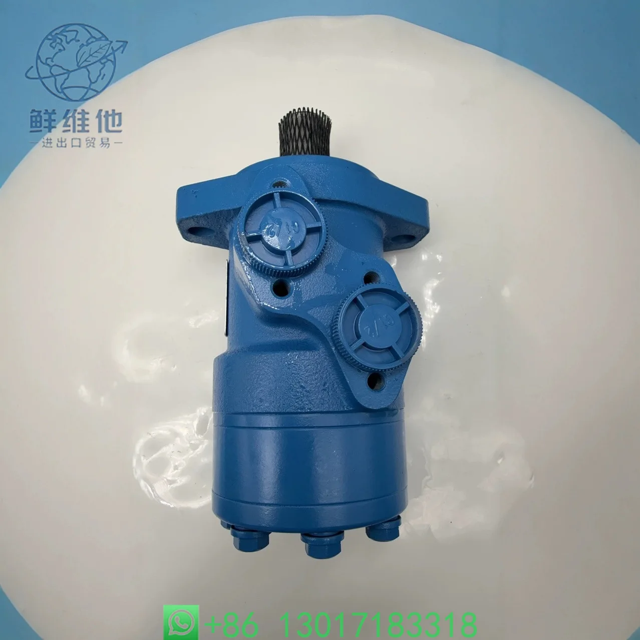 34196 OMP/BMP/160 Cycloid Hydraulic Motor Hydraulic Pump Concrete Pump Truck Accessories
34196 OMP/BMP/160 Cycloid Hydraulic Motor Hydraulic Pump Concrete Pump Truck Accessories