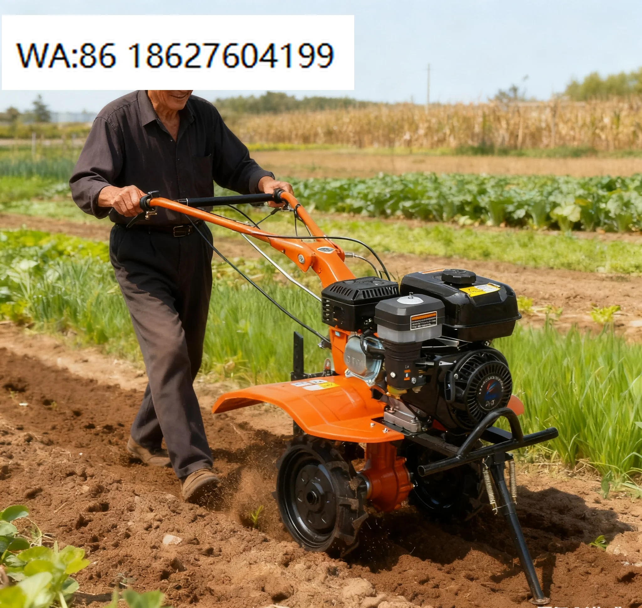 Chinese Brand 2WD Mini Tiller Multifunctional Agricultural Machinery Power Weeder Farm Equipment
Chinese Brand 2WD Mini Tiller Multifunctional Agricultural Machinery Power Weeder Farm Equipment