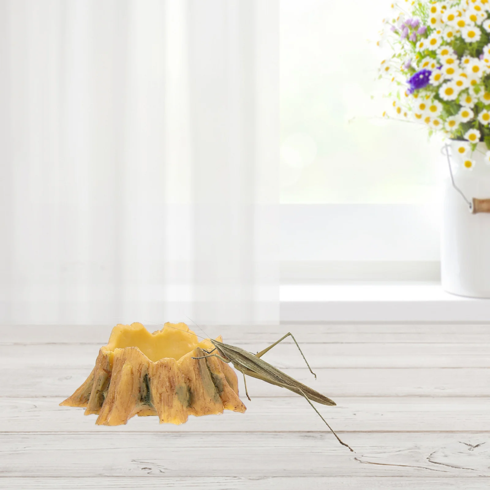 4Pcs Small Resin Water Basins Slip-Resistant Mini Feeding Bowls for Reptile Frogs Reptile Water Dish
4Pcs Small Resin Water Basins Slip-Resistant Mini Feeding Bowls for Reptile Frogs Reptile Water Dish