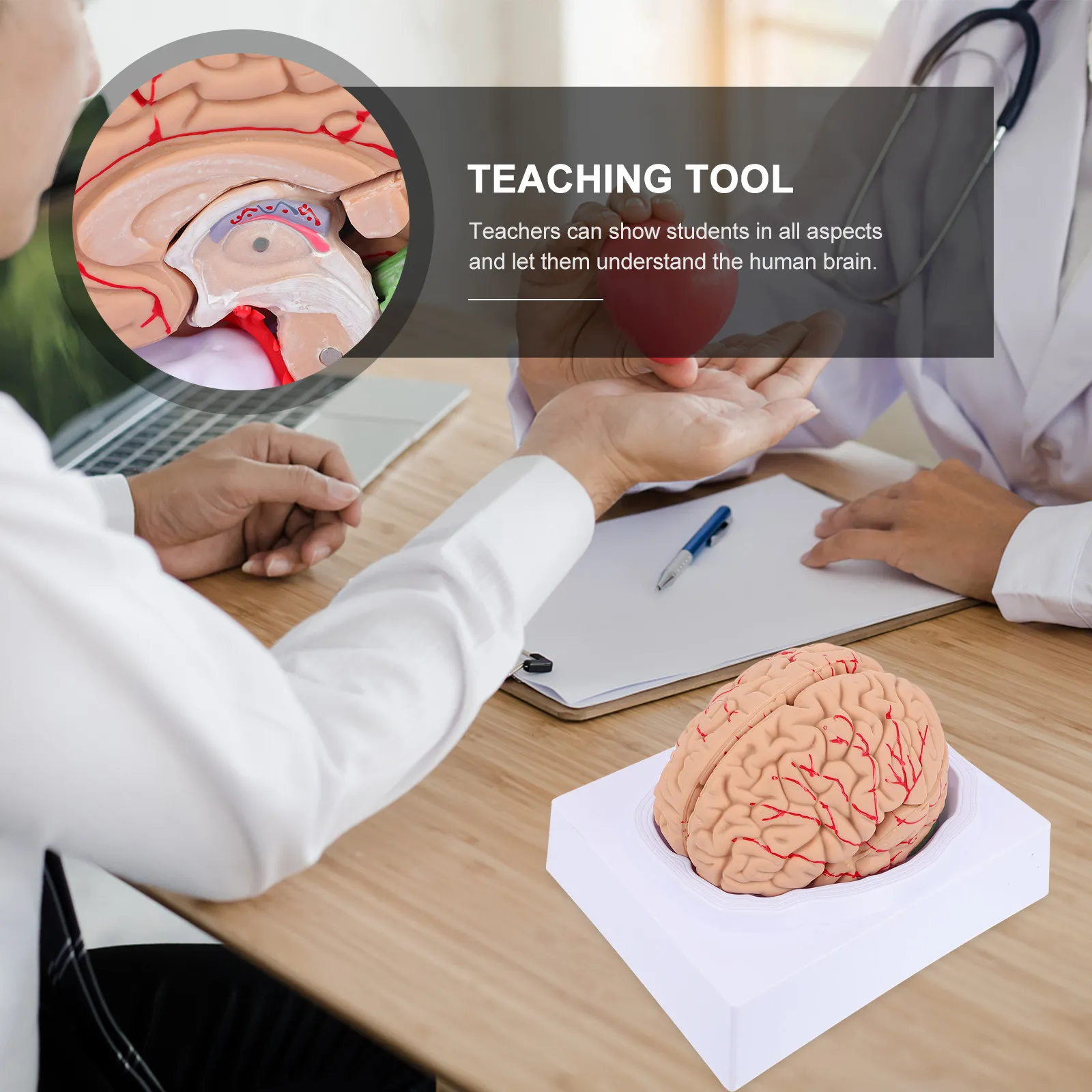 1 шт. Высококачественная анатомическая модель мозга человека с сосудами для обучения, демонстрации, медицинских учреждений и медицинских школ
1 шт. Высококачественная анатомическая модель мозга человека с сосудами для обучения, демонстрации, медицинских учреждений и медицинских школ