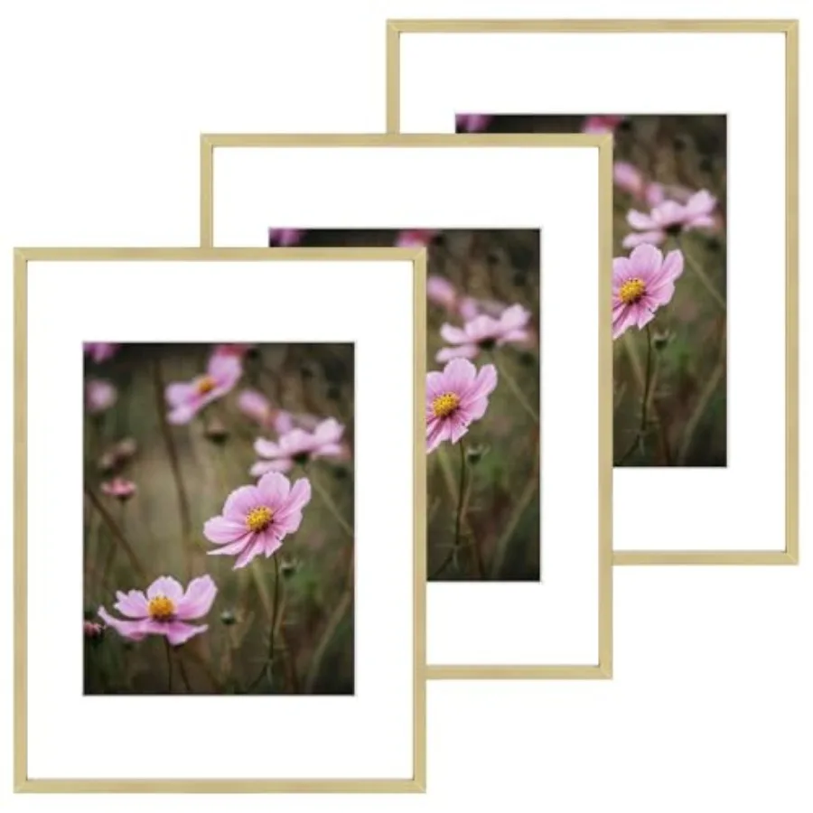 12x16 Picture Frames 3 Pack with Real Glass and Removable Mats - Aluminum Frame for 12x16 Printsor 8.5x11 Photos with Mat - Gal
12x16 Picture Frames 3 Pack with Real Glass and Removable Mats - Aluminum Frame for 12x16 Printsor 8.5x11 Photos with Mat - Gal