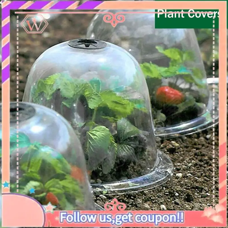 6Piece Reusable Plastic Greenhouse Garden Plant Seedling Germination Covers 10In Dome Frost Guard Freeze Protection
6Piece Reusable Plastic Greenhouse Garden Plant Seedling Germination Covers 10In Dome Frost Guard Freeze Protection