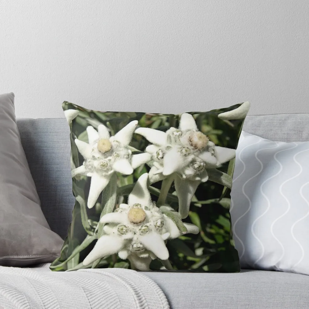 Edelweiss. Throw Pillow christmas supplies Plaid Sofa Christmas Covers pillow
Edelweiss. Throw Pillow christmas supplies Plaid Sofa Christmas Covers pillow