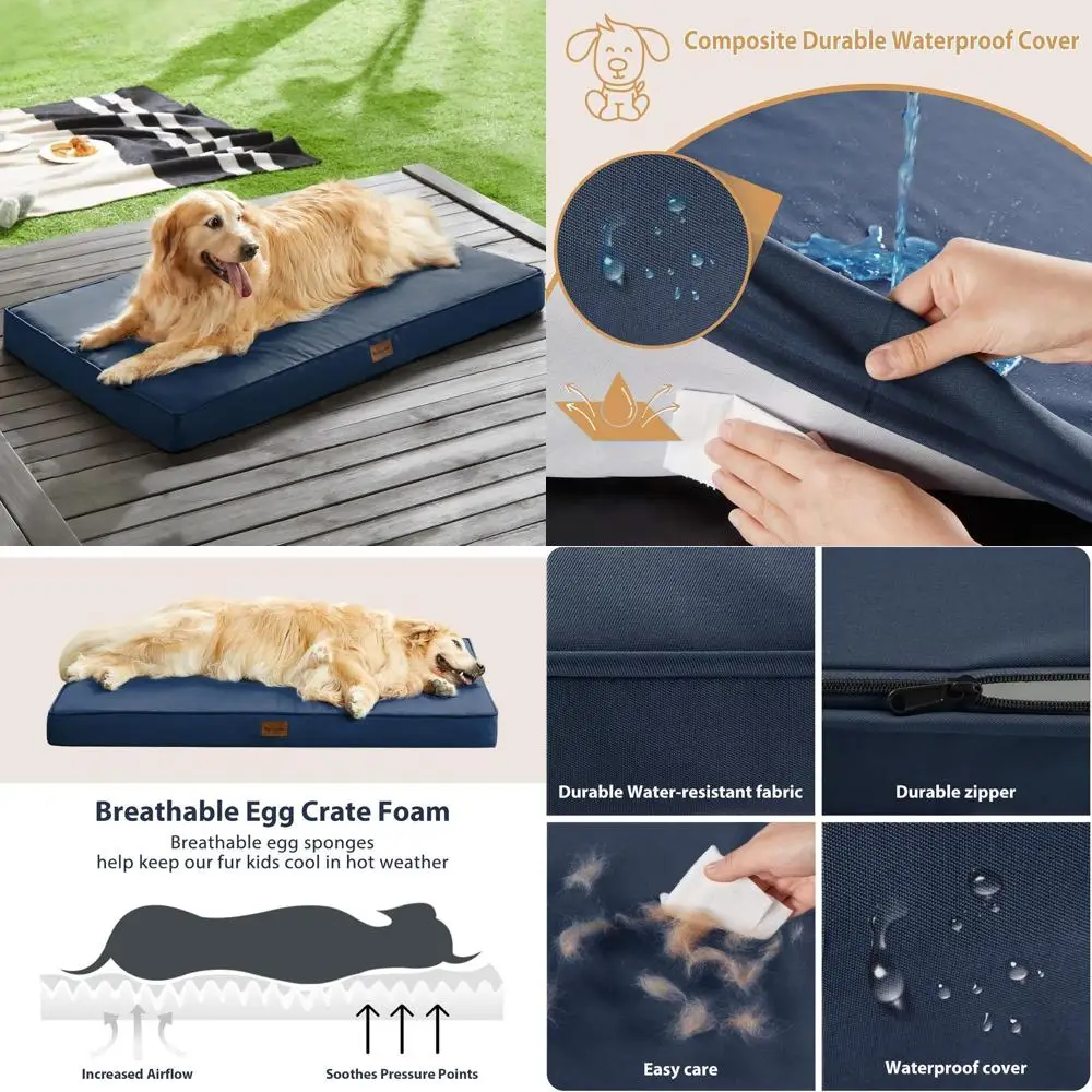Large Dog Orthopedic Bed with Removable Cover, Waterproof & Washable, 47x29 inches, Navy
Large Dog Orthopedic Bed with Removable Cover, Waterproof & Washable, 47x29 inches, Navy