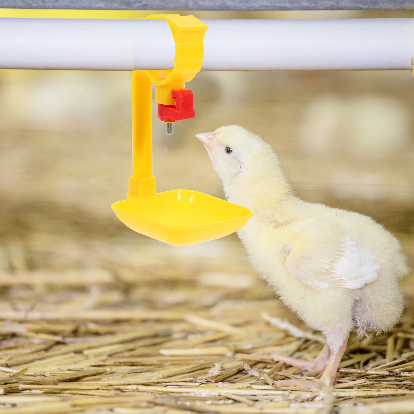 10Pcs Chicken Water Drinkers Poultry Drinking Cups Automatic Water Dispensers Chicken Waterer Farm Feeding Supplies
10Pcs Chicken Water Drinkers Poultry Drinking Cups Automatic Water Dispensers Chicken Waterer Farm Feeding Supplies