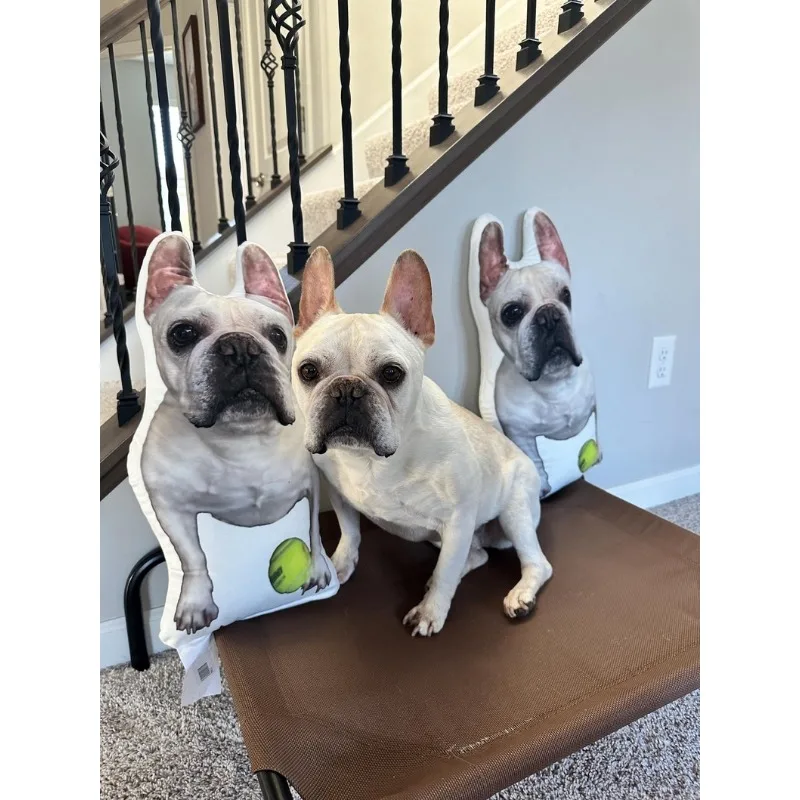 Custom Pet Pillow Design Your Own Cute Pillows Child's Pet Decor Home Doll for Cat Bird Sheep Snake Horse Panda Genshin Impact
Custom Pet Pillow Design Your Own Cute Pillows Child's Pet Decor Home Doll for Cat Bird Sheep Snake Horse Panda Genshin Impact