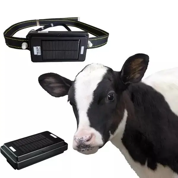 4G Solar Panel Charging GPS Tracker For Big Animals Waterproof Remote Control Feature For Horse Cow Cattle Tracking GPSONE
4G Solar Panel Charging GPS Tracker For Big Animals Waterproof Remote Control Feature For Horse Cow Cattle Tracking GPSONE