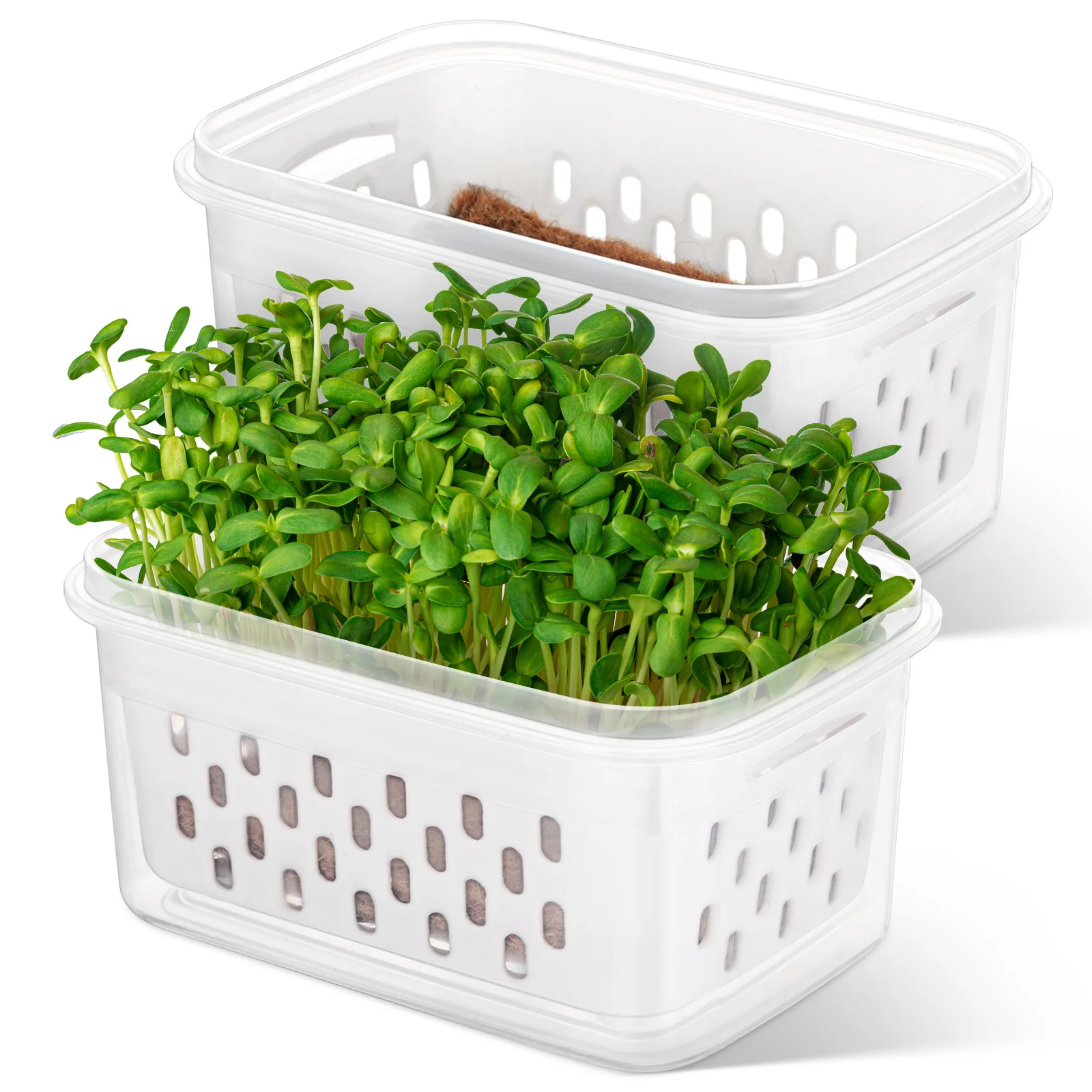 2 Pcs Transparent Seedling Pots Clear Plastic Planters Drainage Holes Nursery Trays Small Flower Pots Gardening Accessories
2 Pcs Transparent Seedling Pots Clear Plastic Planters Drainage Holes Nursery Trays Small Flower Pots Gardening Accessories