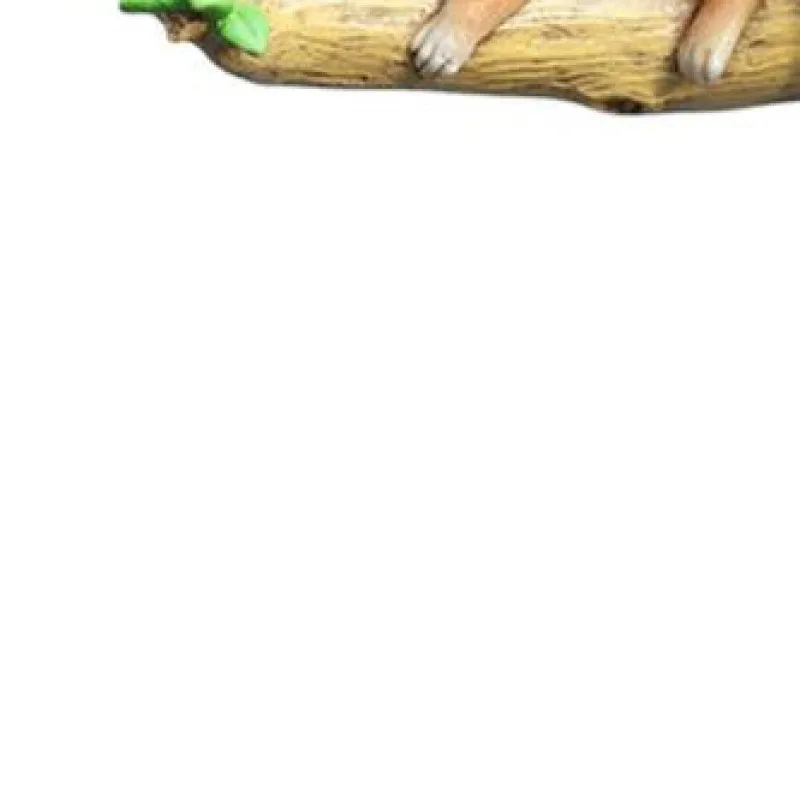 Resin Animal Garden Lights Solar Lights Cute Garden Decorative Hanging Lamp Outdoor Lights for Patio Balcony Yard Ornament
Resin Animal Garden Lights Solar Lights Cute Garden Decorative Hanging Lamp Outdoor Lights for Patio Balcony Yard Ornament