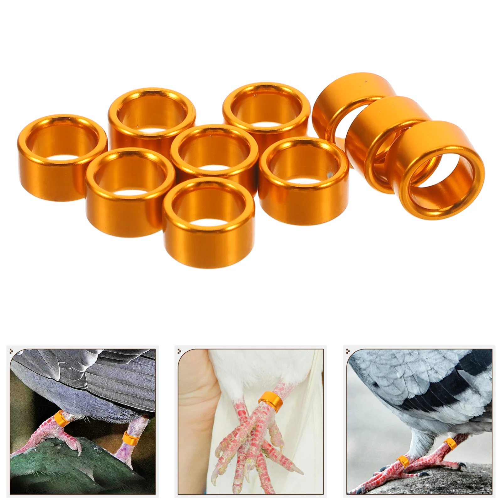 10pcs Aluminium Pigeon Leg Rings Golden Reusable Identification Bands for Foot Easy Install Comfortable
10pcs Aluminium Pigeon Leg Rings Golden Reusable Identification Bands for Foot Easy Install Comfortable