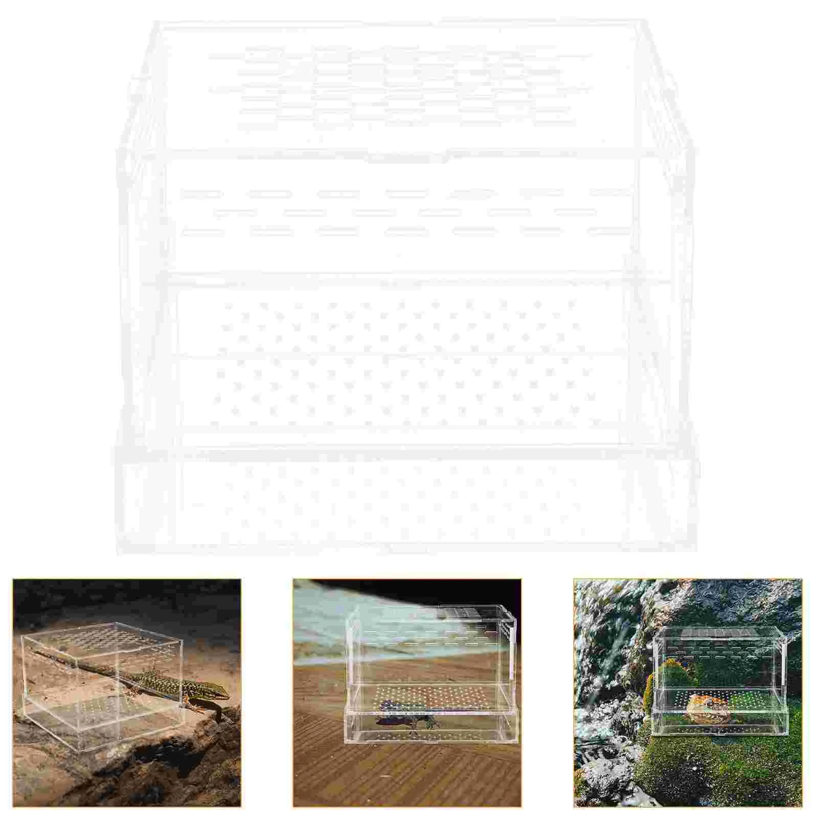 Crickets for Reptiles Keeper Animal Sea Monkey Tank Snake Enclosure Feed Creative Incubators
Crickets for Reptiles Keeper Animal Sea Monkey Tank Snake Enclosure Feed Creative Incubators