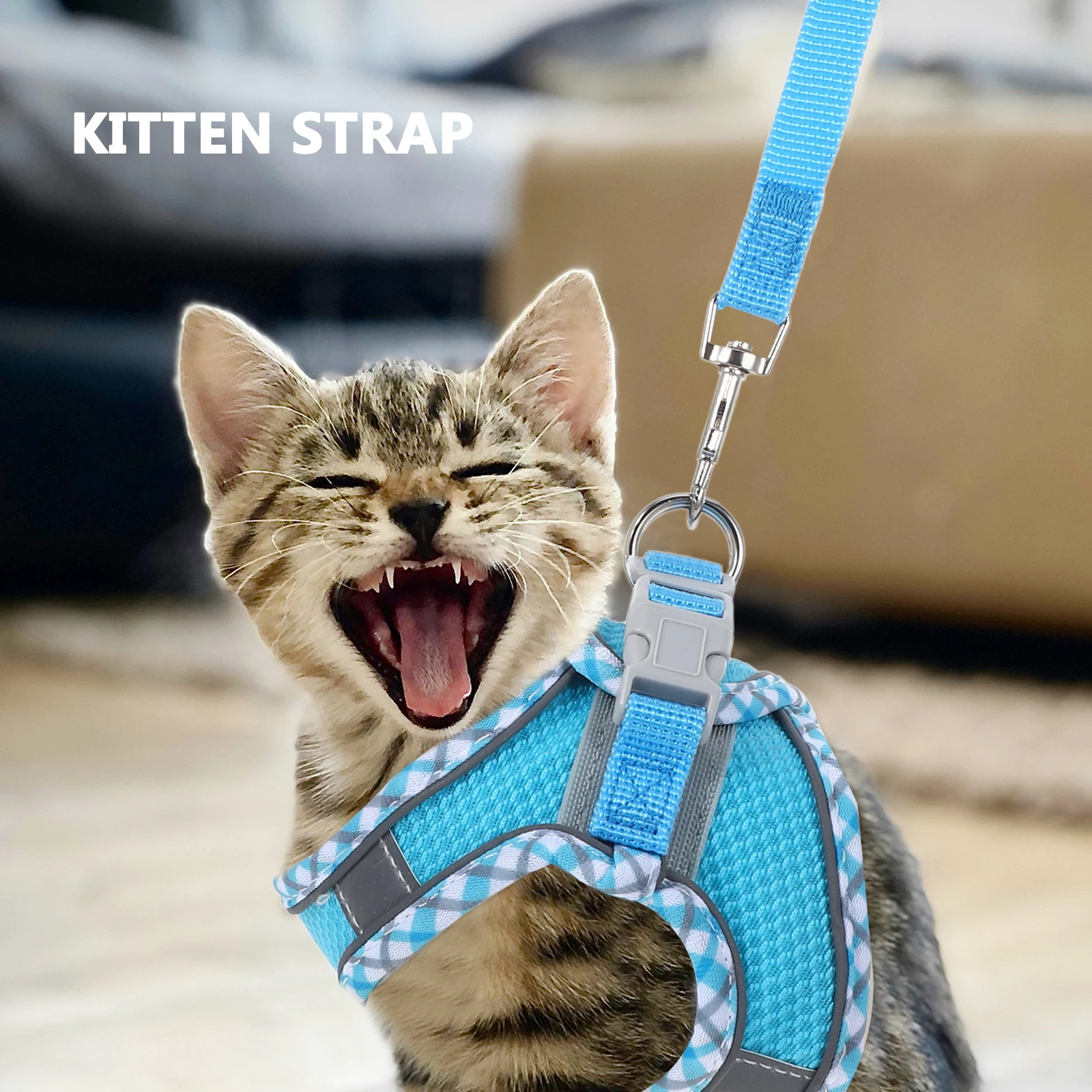 Heavy Duty Kitten Harness Leashes Set Reflective Vest Small Cats Wear-resistant Portable Adjustable Outdoor Pet Supply
Heavy Duty Kitten Harness Leashes Set Reflective Vest Small Cats Wear-resistant Portable Adjustable Outdoor Pet Supply
