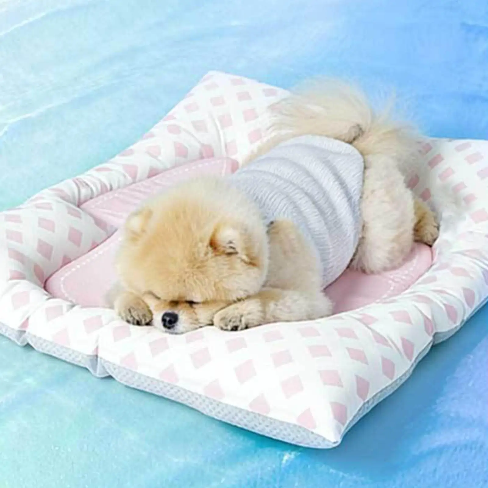 Cooling Mat For Dogs Comfortable Reusable Portable Play Pad Summer Sleeping Mat For Pets Puppy Rabbits Animal Summer Outdoor
Cooling Mat For Dogs Comfortable Reusable Portable Play Pad Summer Sleeping Mat For Pets Puppy Rabbits Animal Summer Outdoor