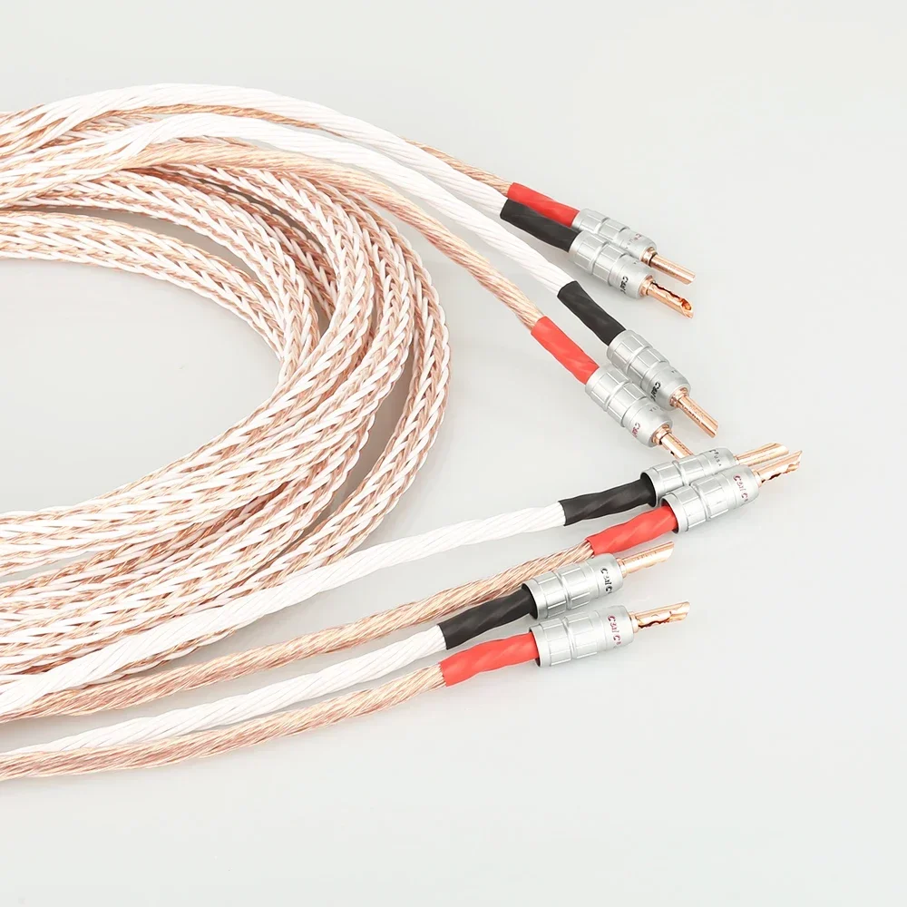 Pair 12TC HIFI Speaker Cable 7N OCC Biwire Speaker Wire with 2 to 2/4 Banana Plug Jack for Loudspeaker Audio Upgrade
Pair 12TC HIFI Speaker Cable 7N OCC Biwire Speaker Wire with 2 to 2/4 Banana Plug Jack for Loudspeaker Audio Upgrade