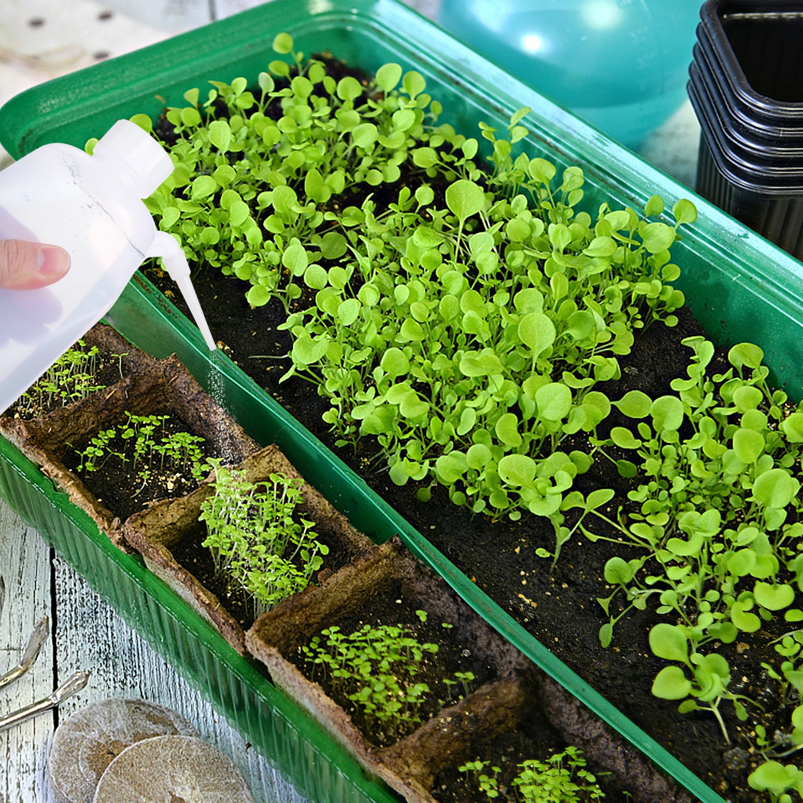 5pcs Wash Bottles Empty Spray Bottles 500Ml Plastic Holders For Cleaning Science Lab Use Pe Containers
5pcs Wash Bottles Empty Spray Bottles 500Ml Plastic Holders For Cleaning Science Lab Use Pe Containers