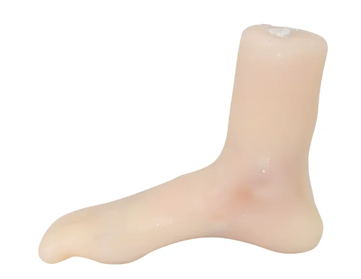 Arthroscopy Training Model, Ankle Model, Soft and Bendable
Arthroscopy Training Model, Ankle Model, Soft and Bendable