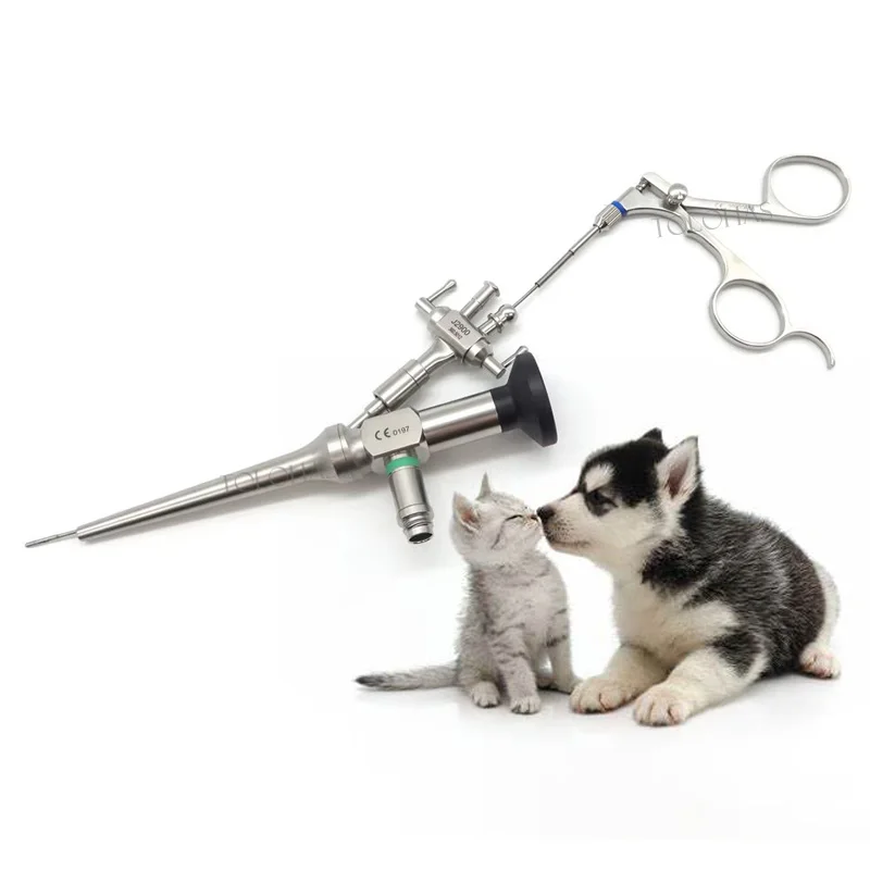LHWES Pet Otoscope 5.5mm Diameter Rigid Endoscope Instrument Dog Cat Veterinary Ear Diagnostic Set
LHWES Pet Otoscope 5.5mm Diameter Rigid Endoscope Instrument Dog Cat Veterinary Ear Diagnostic Set