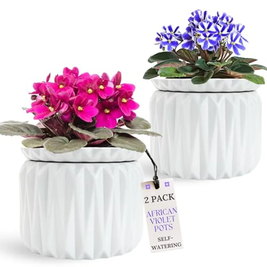 6 Inch African Violet Pots Self Watering, Ceramic Planter with Water Reservoir and Fill Lines, 4 Inch Opening, Indoor Flower Po
6 Inch African Violet Pots Self Watering, Ceramic Planter with Water Reservoir and Fill Lines, 4 Inch Opening, Indoor Flower Po