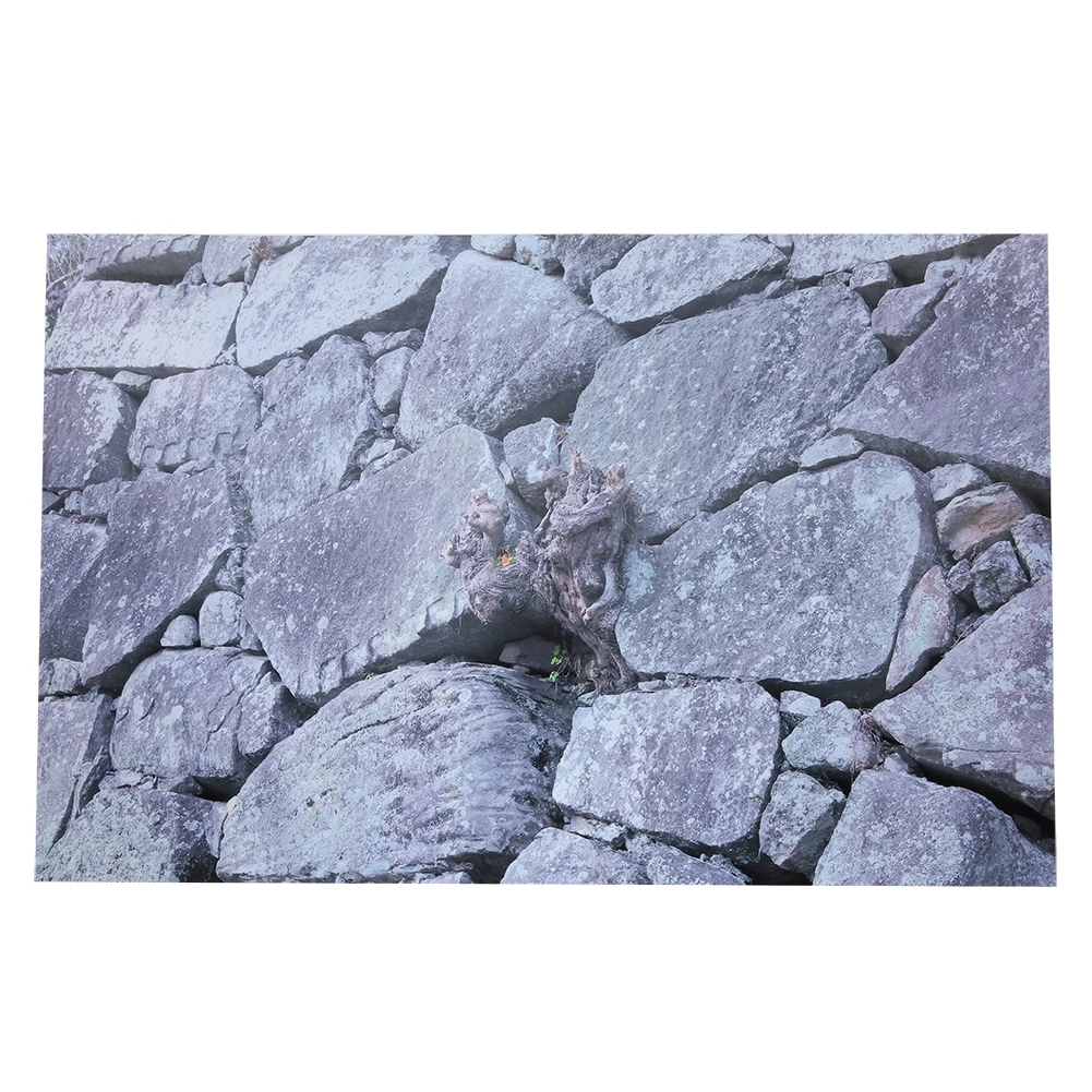 Rock Stone Background Decorative Sticker Wall Picture Landscape Painting For Aquarium Fish Tank
Rock Stone Background Decorative Sticker Wall Picture Landscape Painting For Aquarium Fish Tank