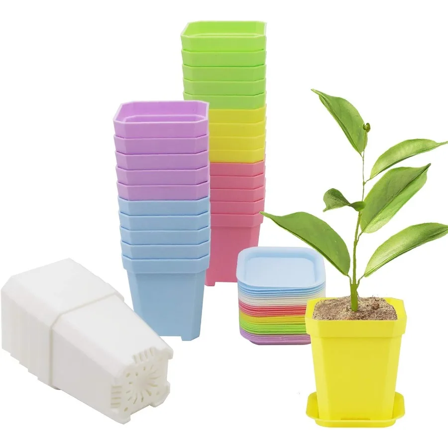 30 Pcs 3 Plants Nursery Pot Thick Plastic Square Colorful Flower Planting Pots Plant Seedling Pots Seed Starting Pots with Sauc
30 Pcs 3 Plants Nursery Pot Thick Plastic Square Colorful Flower Planting Pots Plant Seedling Pots Seed Starting Pots with Sauc