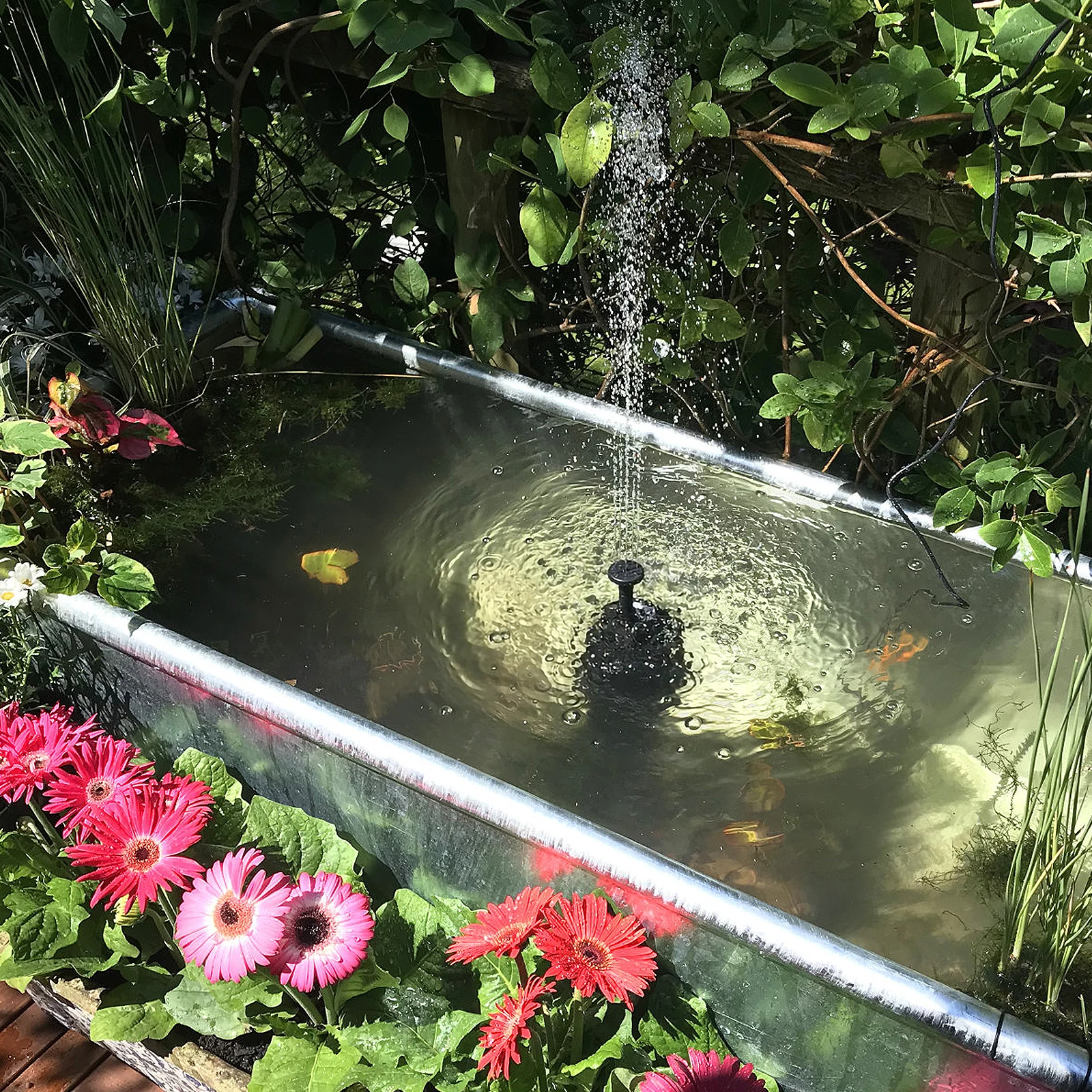 Solar Fountain Water Pump 1.2W Outdoor Solar Garden Fountain Waterfalls Solar Power Bird Bath Floating Fountain Pump (Black)
Solar Fountain Water Pump 1.2W Outdoor Solar Garden Fountain Waterfalls Solar Power Bird Bath Floating Fountain Pump (Black)